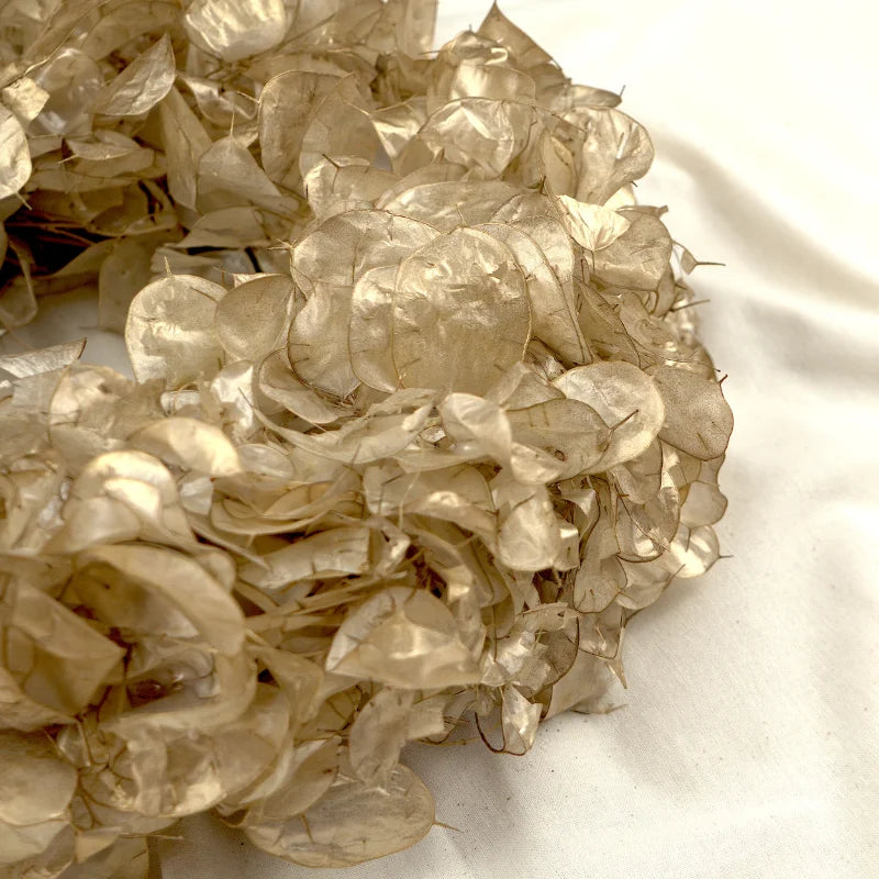 Trockenblumenkranz - Lunaria - Gold Ø 30 cm