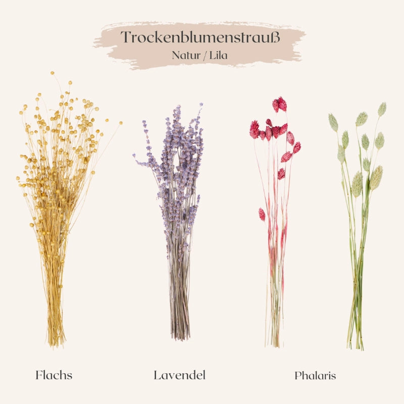 Trockenblumenstrauß Natur-Lila