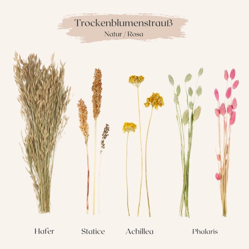Trockenblumenstrauß Natur-Rosa